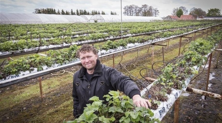 Hardrik Hindriksen Rikkert Harink