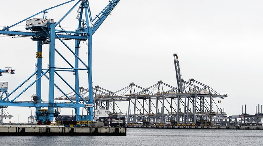 Haven Rotterdam 5