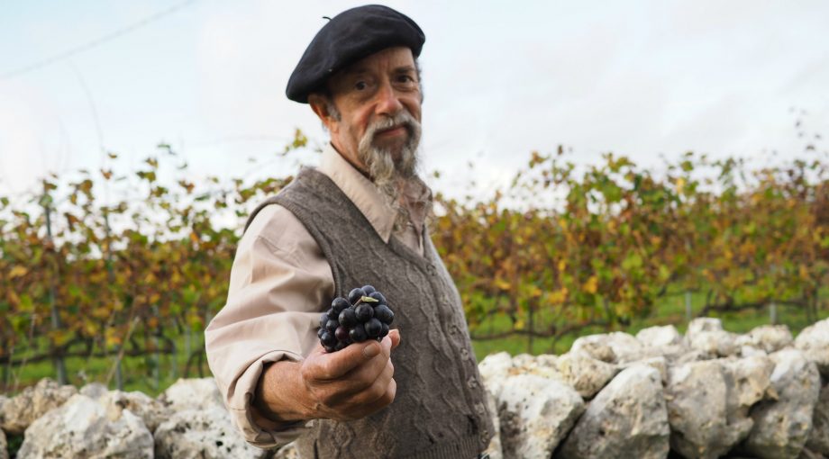 Ilja Gort Druivenprimitivo