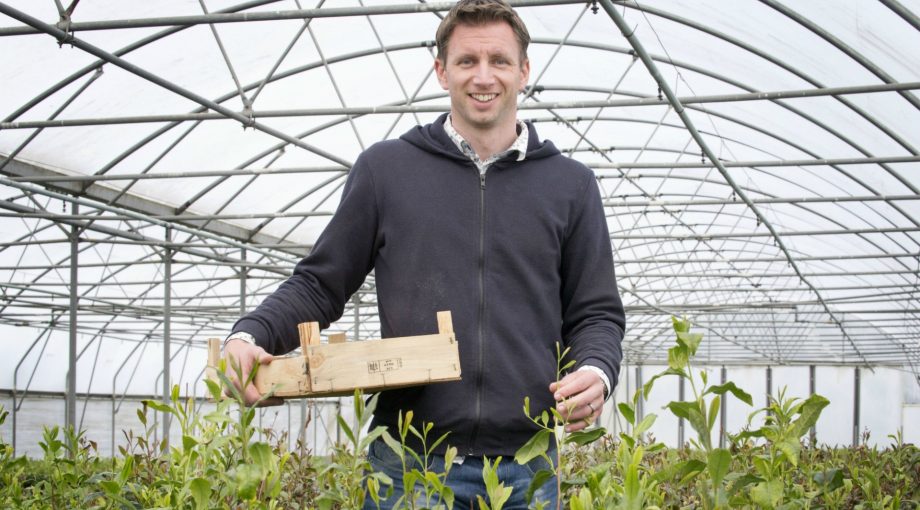 Johan Jansen Special Plant Zundert