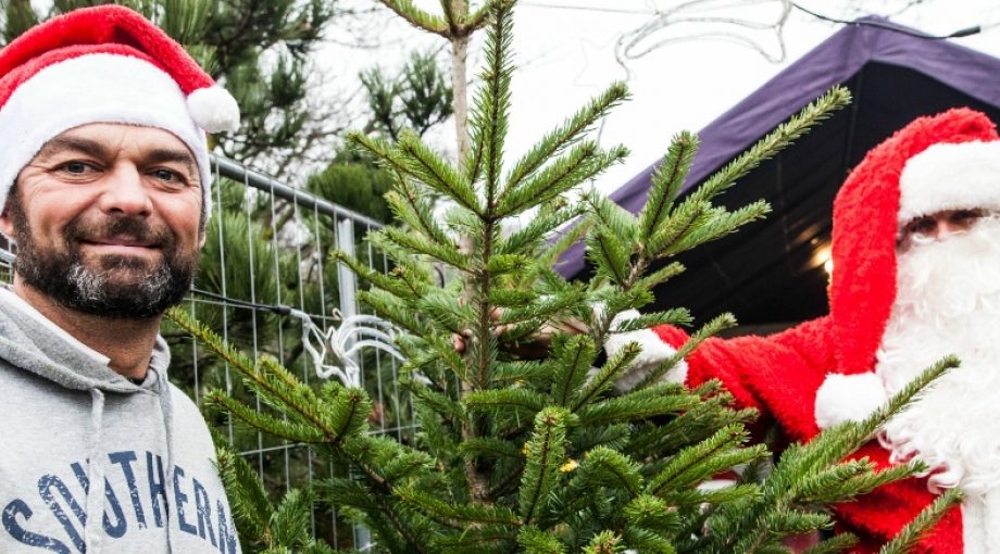Kerstbomen verkopen Gerard Cools