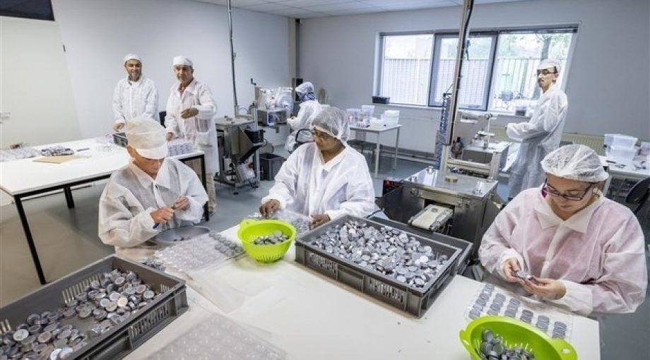 Peppermint company Reinier van Willigen