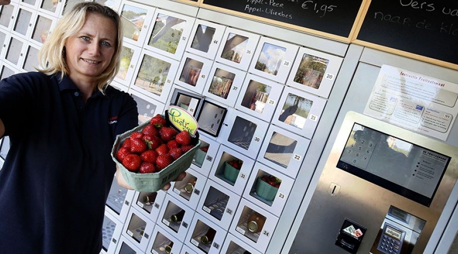 Pin Fruitautomaat