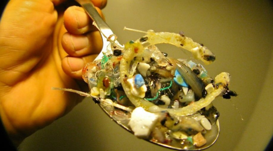 Plastic Soup