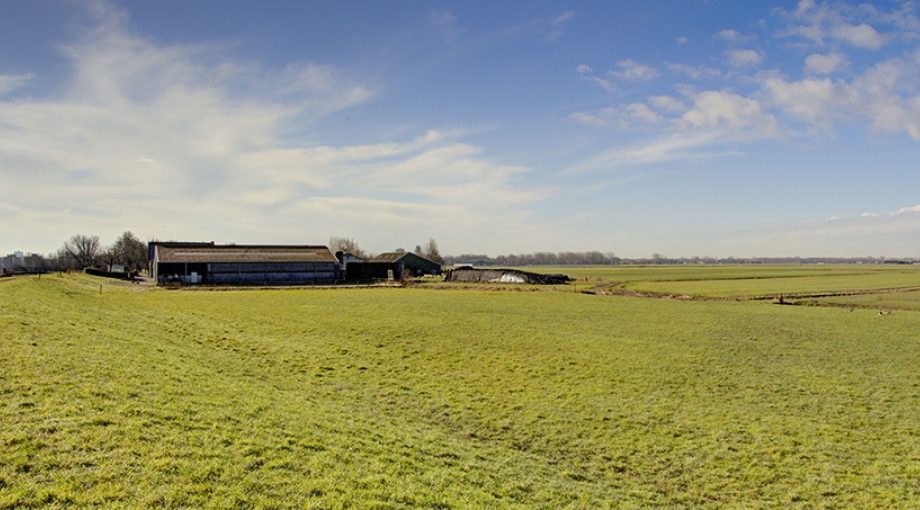 Polder Boer
