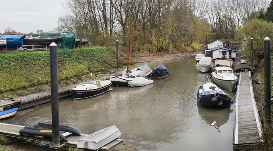 Rijn Haven