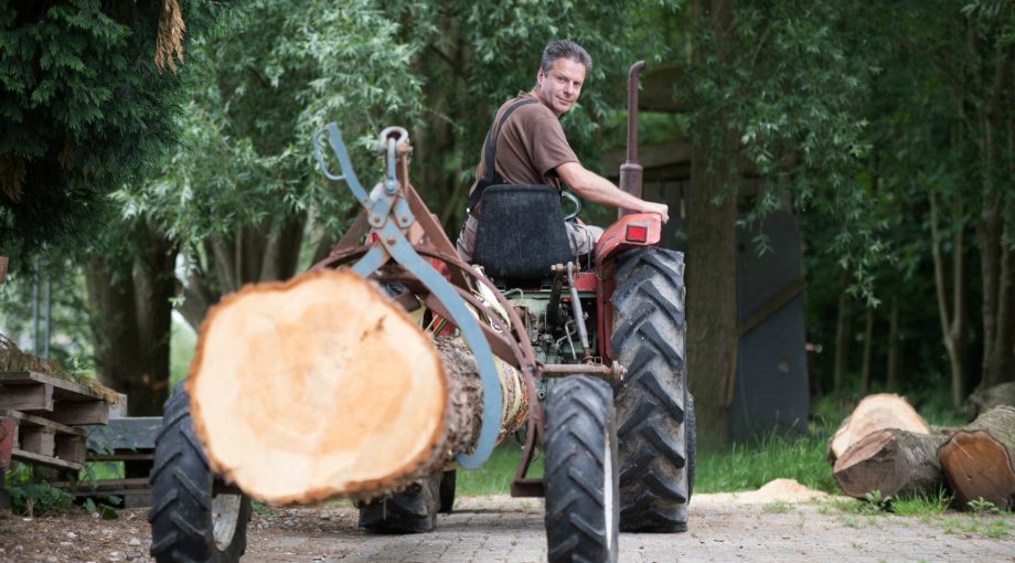 Rinke de Vos Elst