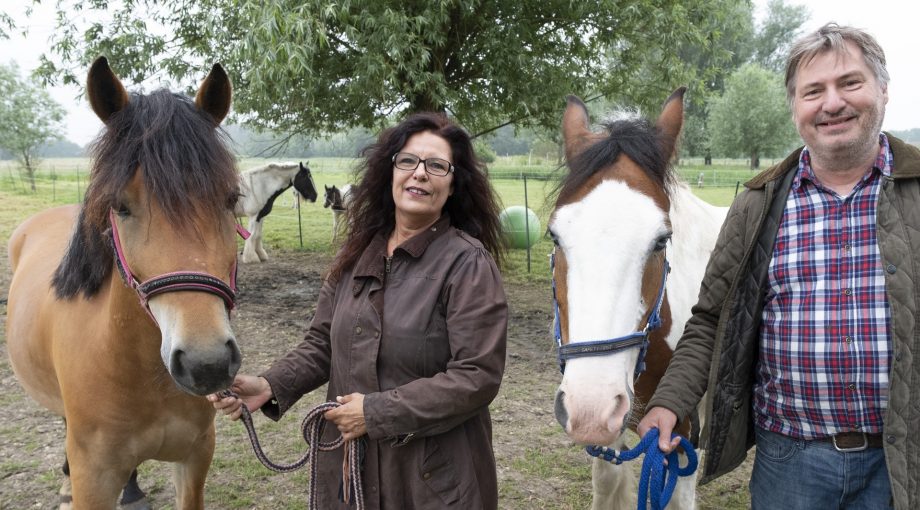 Ruitersportzaak Sissi dirkjangjeltema