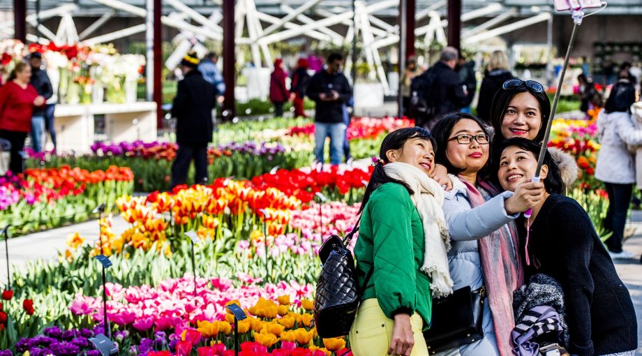 Toeristen Keukenhof