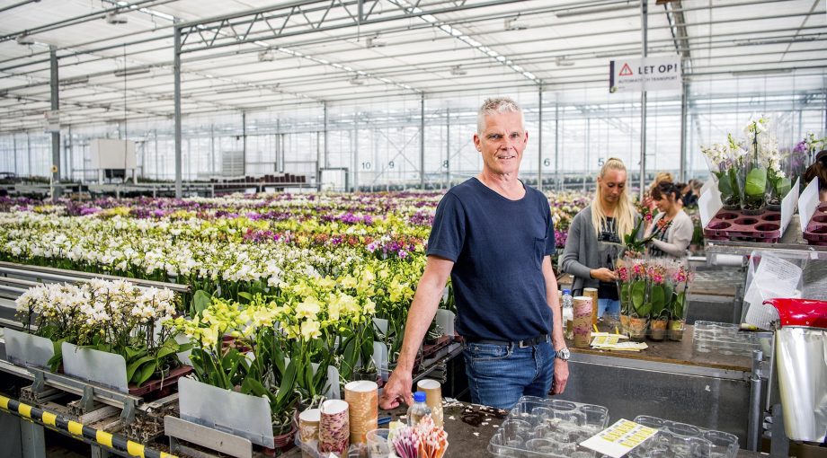 Tuinbouw 2
