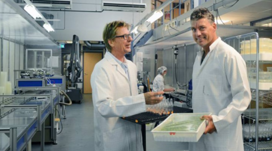 Vitro Plus Marieke Mandemaker