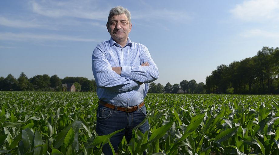Wintelre Hans Huijbers