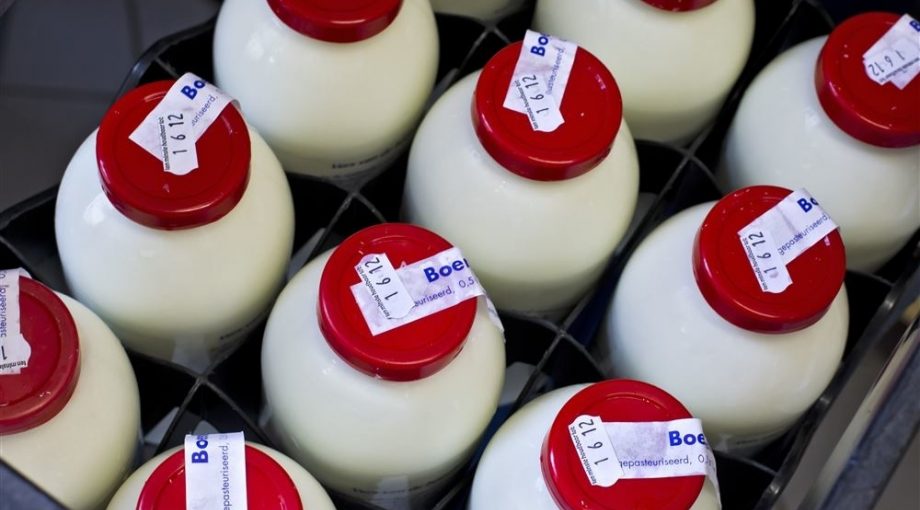 Yoghurt ANP