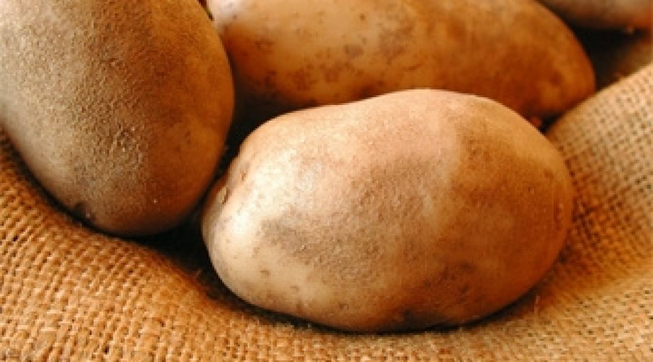 Aardappelen zak 335