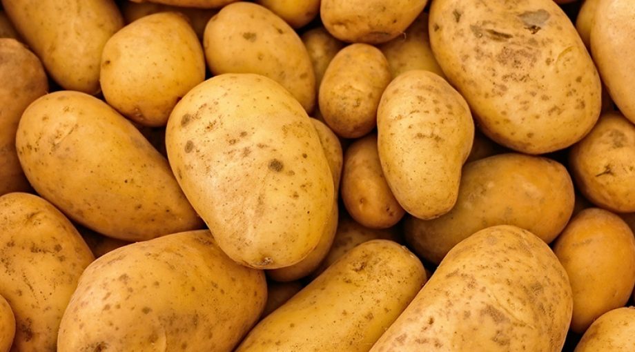 Aardappelen stock