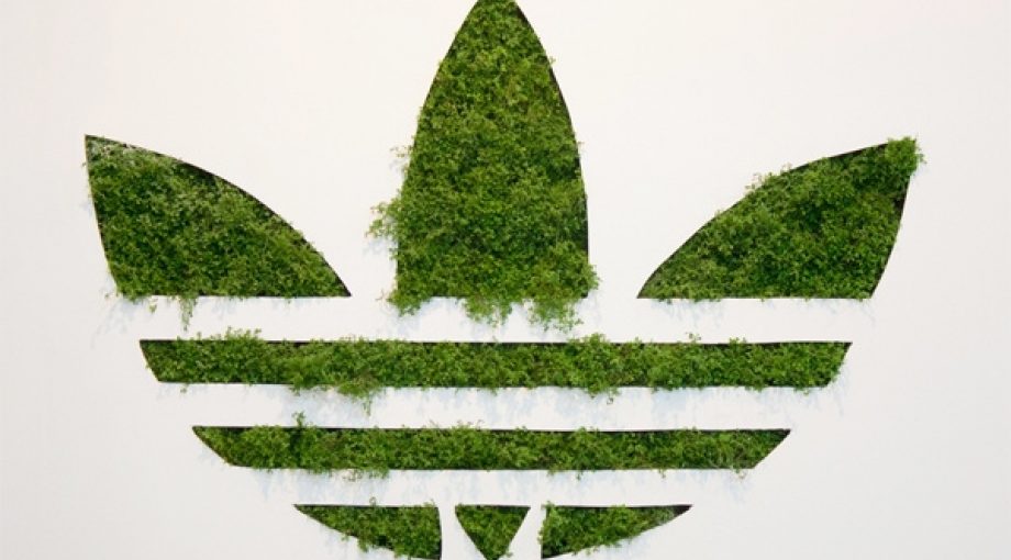 Adidas gras middelgroot