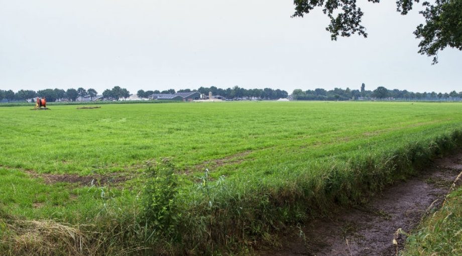 Akker landbouw