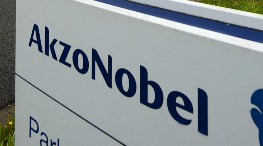 Akzonobel toma tudor
