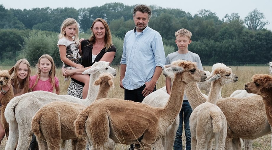Alpacawei