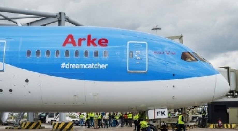 Arke verdwijnt 335