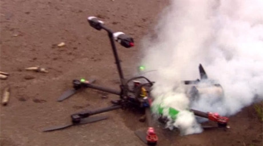 Aspergedrone stort nee 335