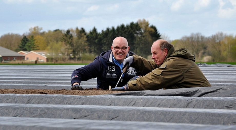 Asperges twente carlo ter ellen