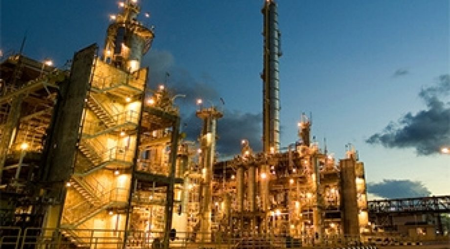 Basf chemiereus 335