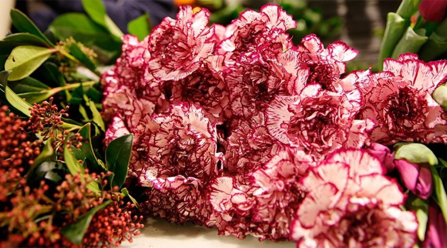 Bloemen 24