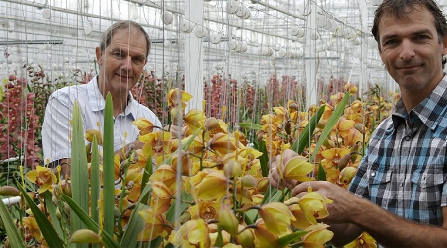 Bloemenkwekers pioniers 1065