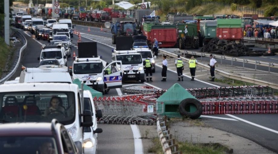 Blok routedesolei middelgroot