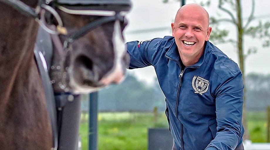 Bobtenwoldepaarden