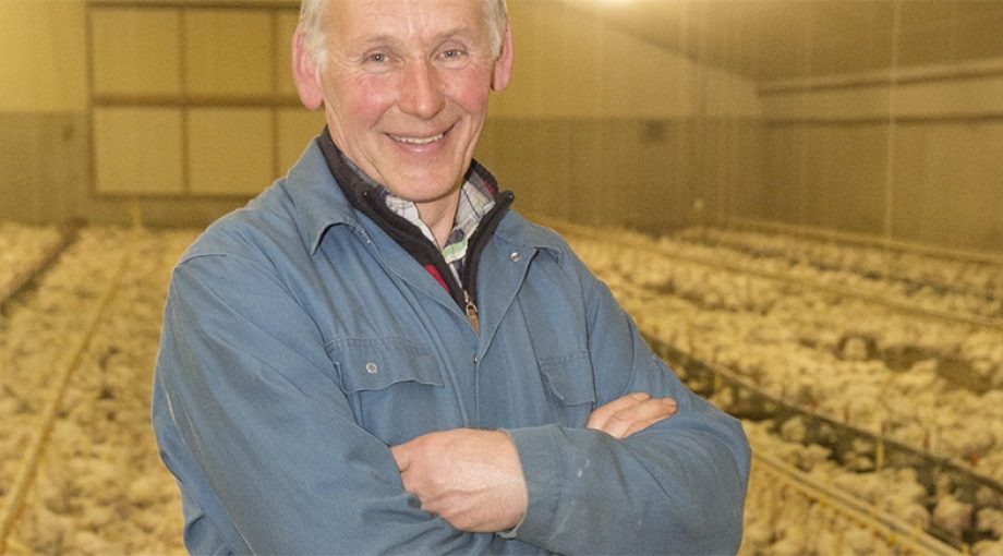 Boer henk kluin terwolde gelderland boerderij kippen pluimvee veeteelt