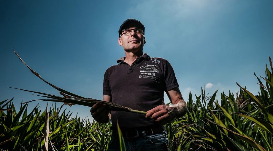 Boeren oosten moeilijk voorjaar
