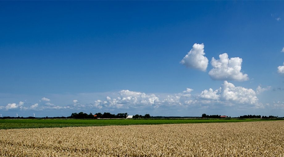 Boerenerf platteland boerderij akker