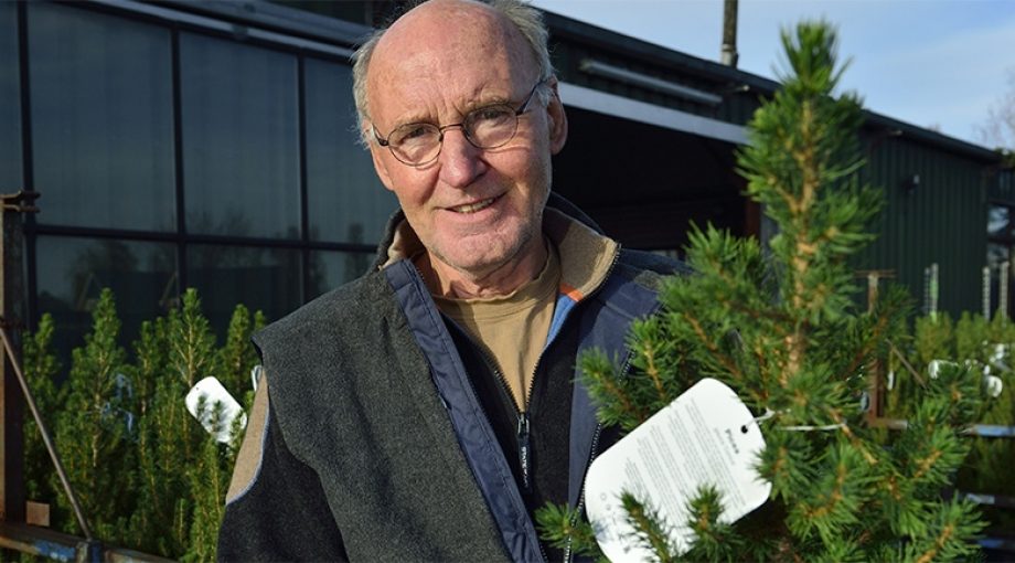 Bomen zijn relaxt 1065