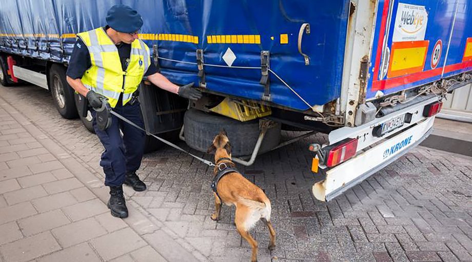 Brexit transport handel verenigd koninkrijk tln