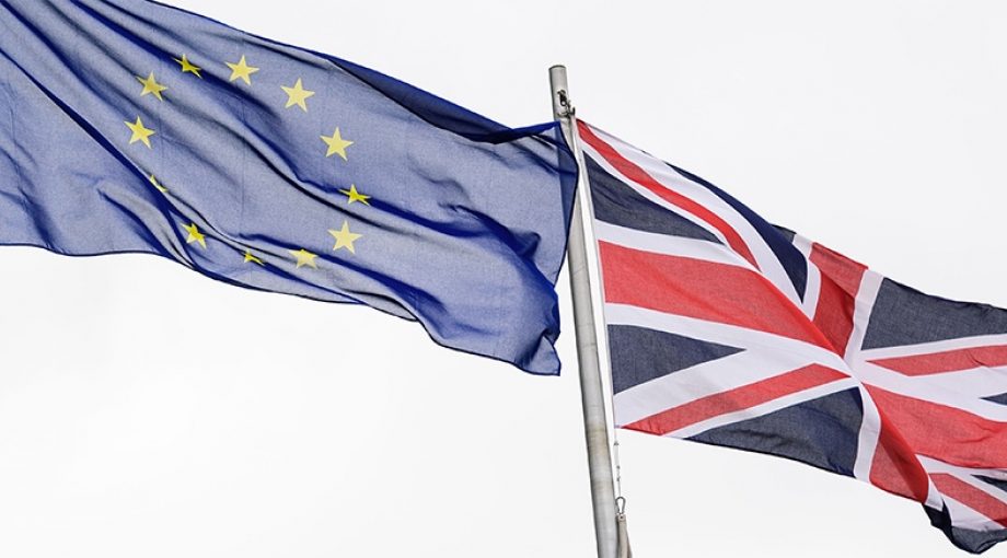 Brexit vlaggen 1065