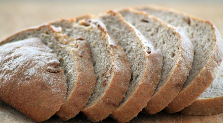 Brood stockpixabay