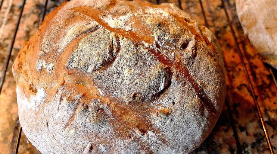 Brood 5