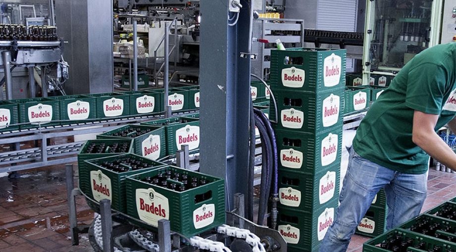 Budels
