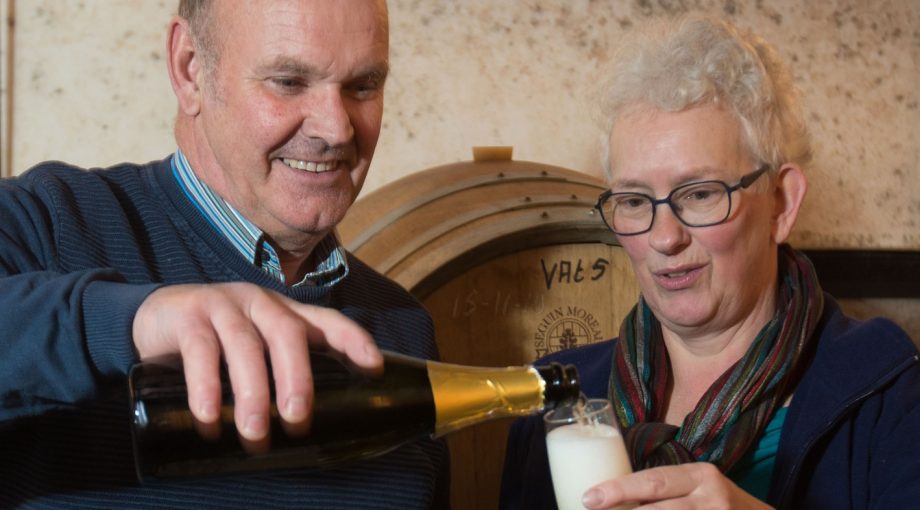 Champagne marknesse flevoland 1