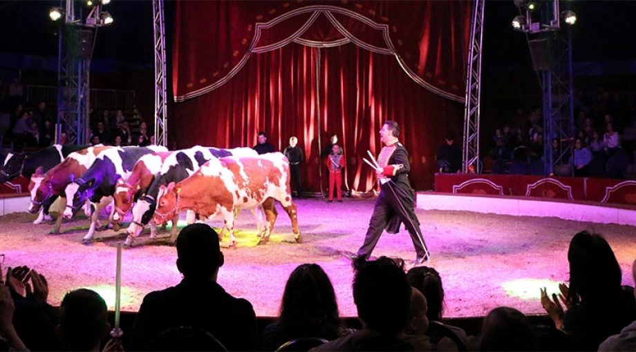 Circus 1065