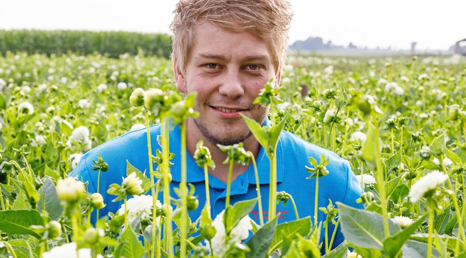 Dahlio foto wilbertbijzitter
