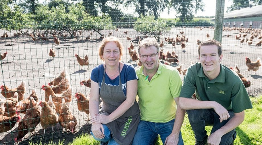 De Boderie Harbrinkhoek