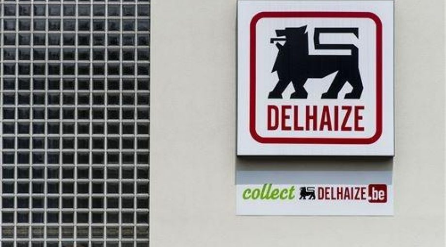 Delhaize logo groot