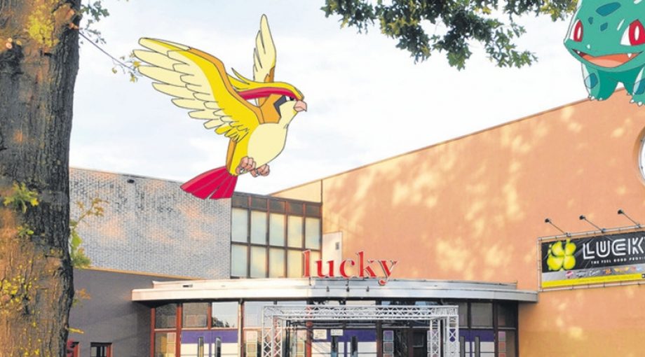 Dicotheek lucky in rijssen frans nikkels en monique schiphorst