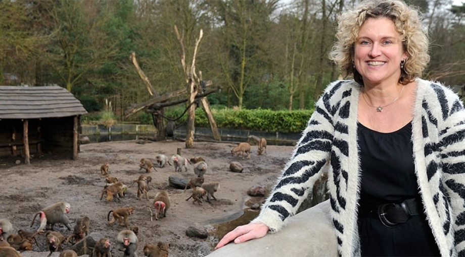 Dierenpark 1065