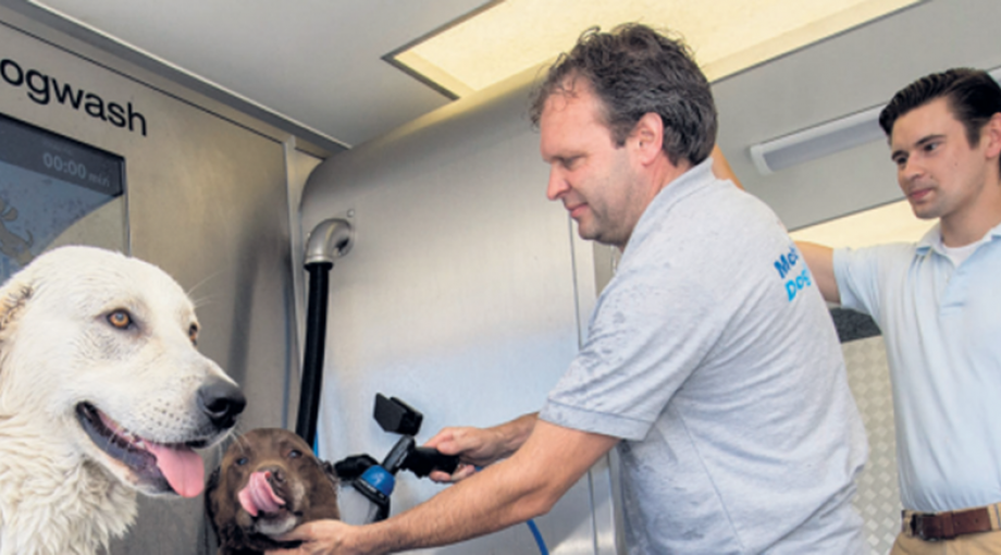 Dogwash