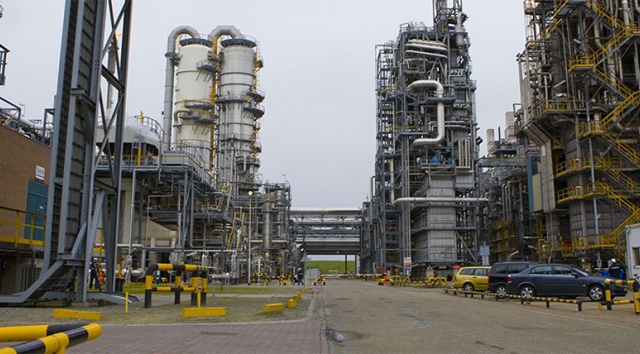 Dow industrieterrein terneuzen zeeland