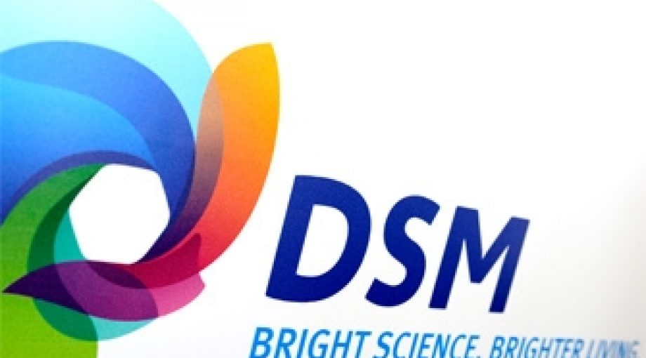 Dsm bedrijfslogo 335